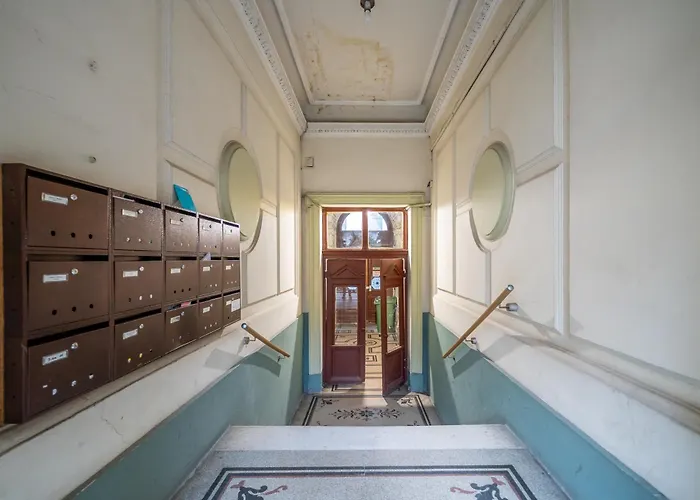 Bazilika-d45 Premium *